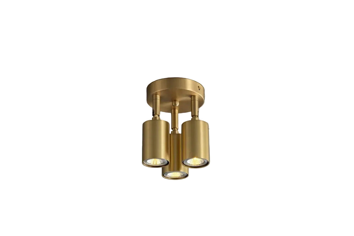 Axis Spot Ceiling Light