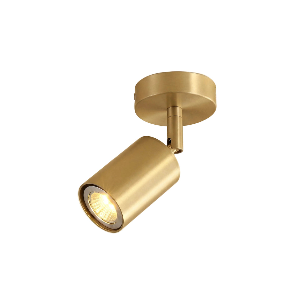 Axis Spot Ceiling Light