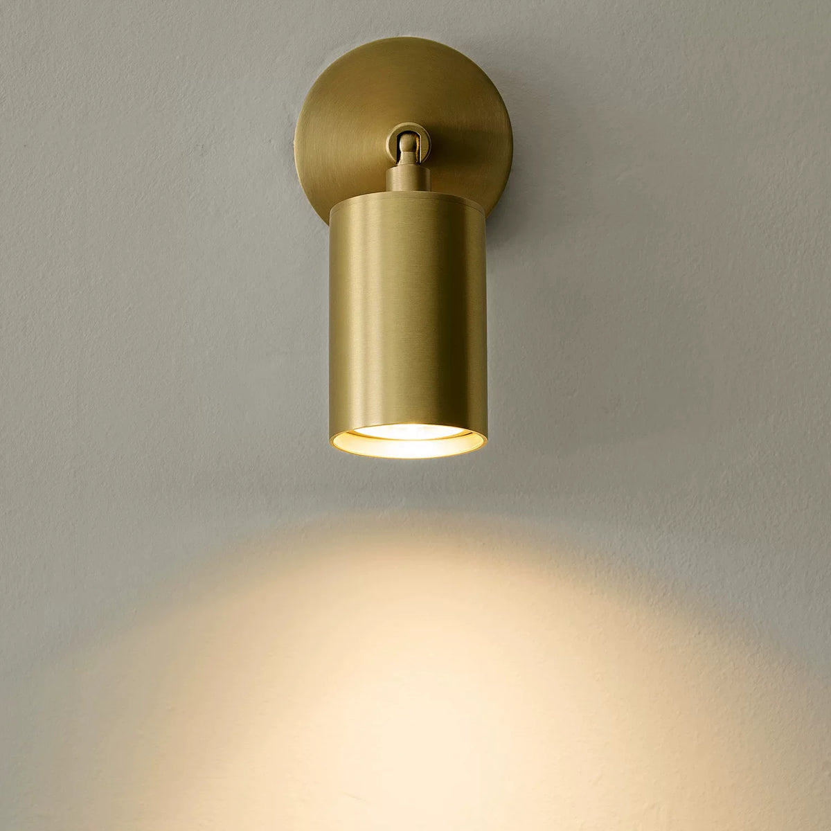 Axis Spot Ceiling Light