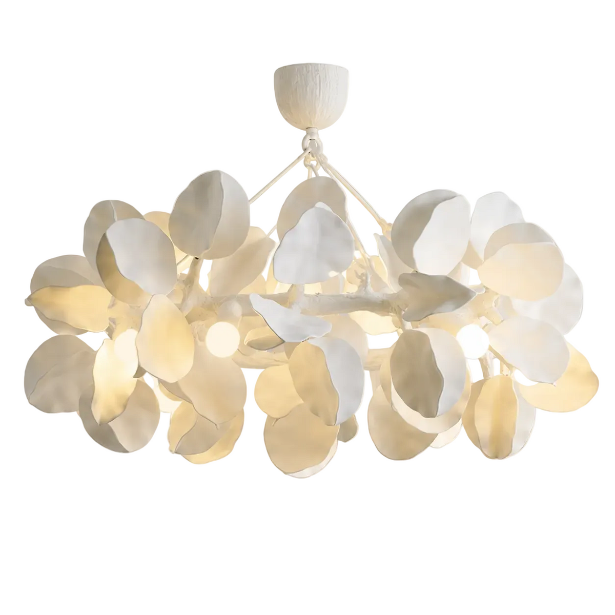Sculpted Petal Chandelier