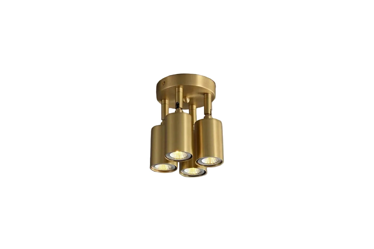 Axis Spot Ceiling Light