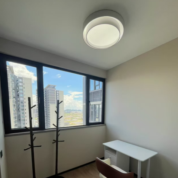 Luma Disc Flush Mount