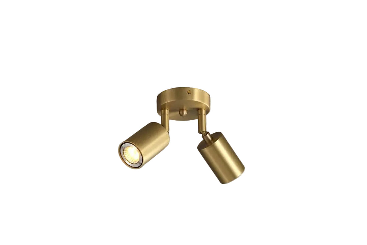 Axis Spot Ceiling Light
