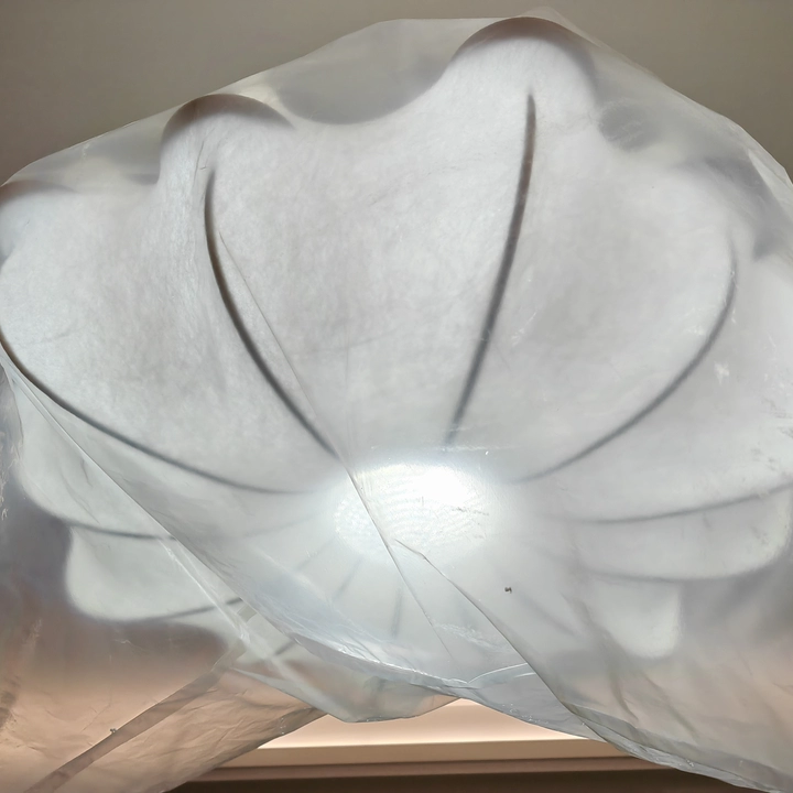 Zephyr Silk Petal Chandelier