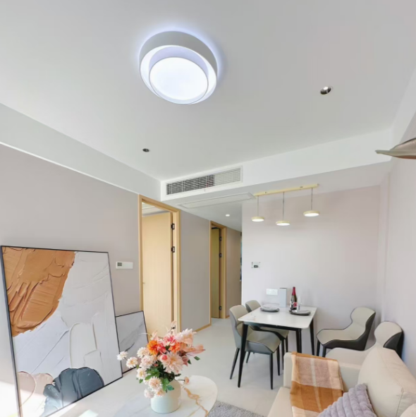 Luma Disc Flush Mount