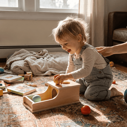 Wooden Object Permanence Box Cause Effect Toy Interactive